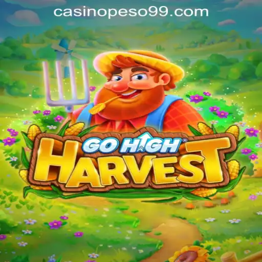 Discover GoHighHarvest: A Dynamic Casino Experience